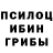 Псилоцибиновые грибы Psilocybe Akila 84