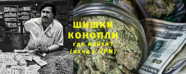 стаф Балахна
