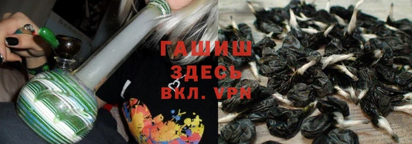 стаф Балахна