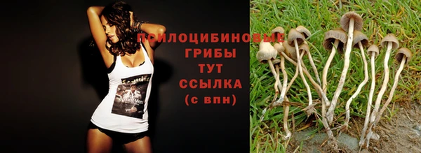 MDMA Снежногорск